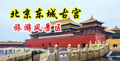 午夜影院乳头中国北京-东城古宫旅游风景区